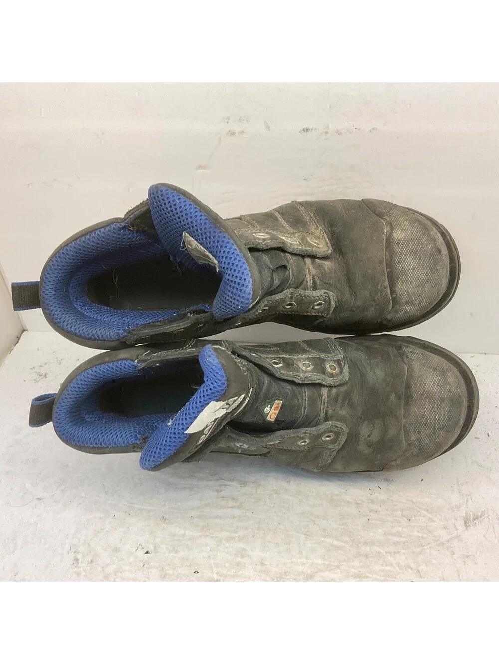 DAKOTA Men's 557 6